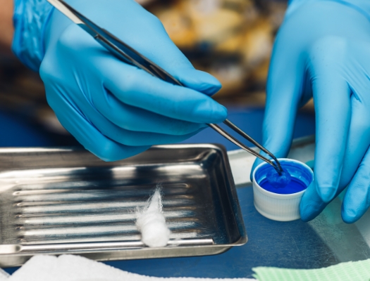 Gloved hands soaking object in fluoride